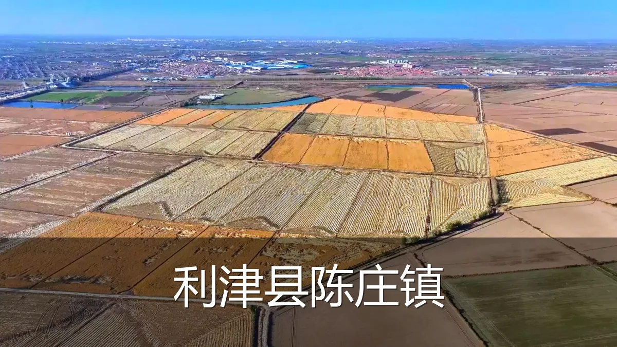 利津县陈庄镇